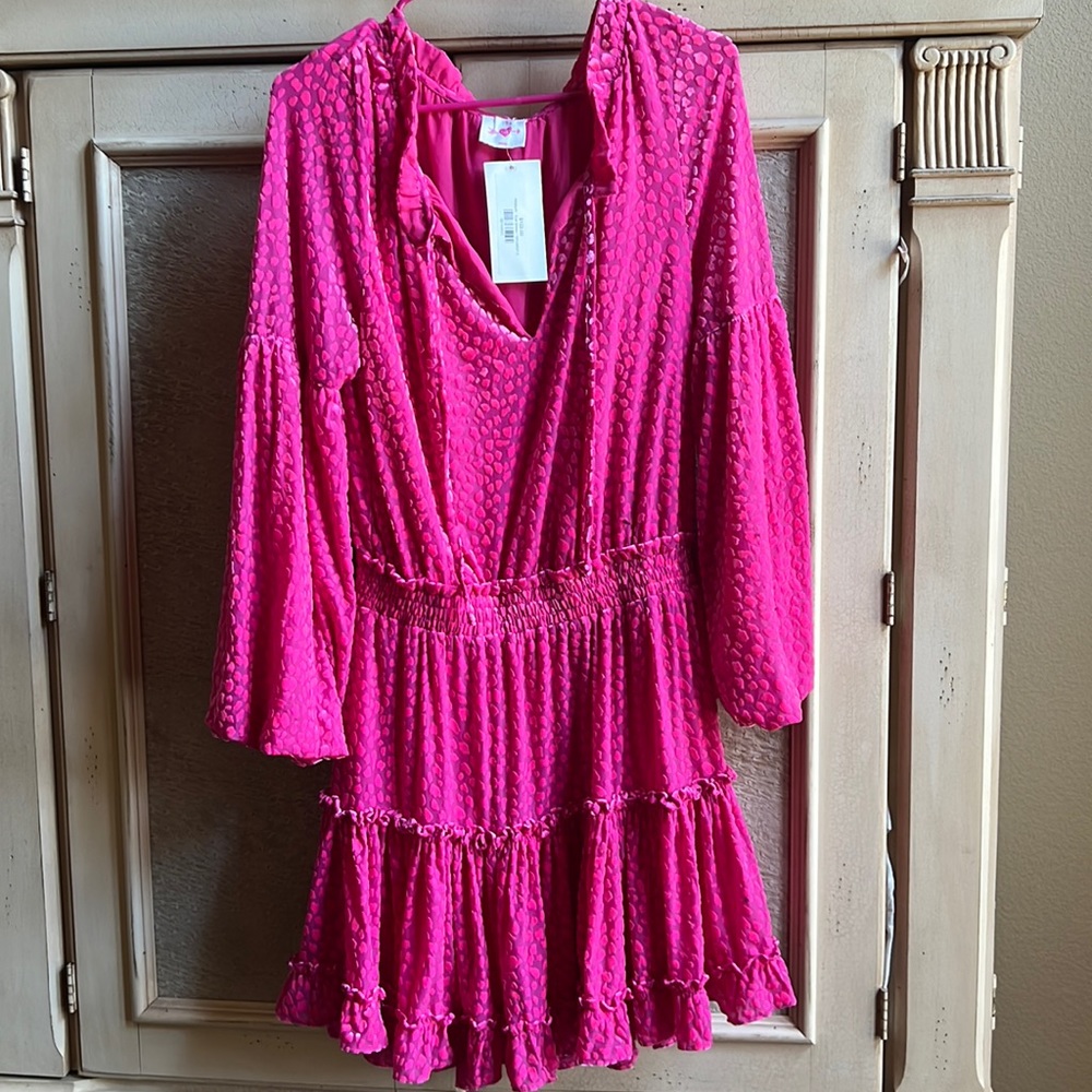 BNWT BuddyLove Sue Dress size medium